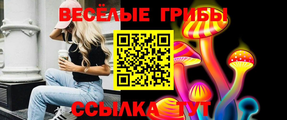 Галлюциногенные грибы GOLDEN TEACHER  Галлюциногенные грибы Psilocybe  Октябрьский  Вход с VPN 